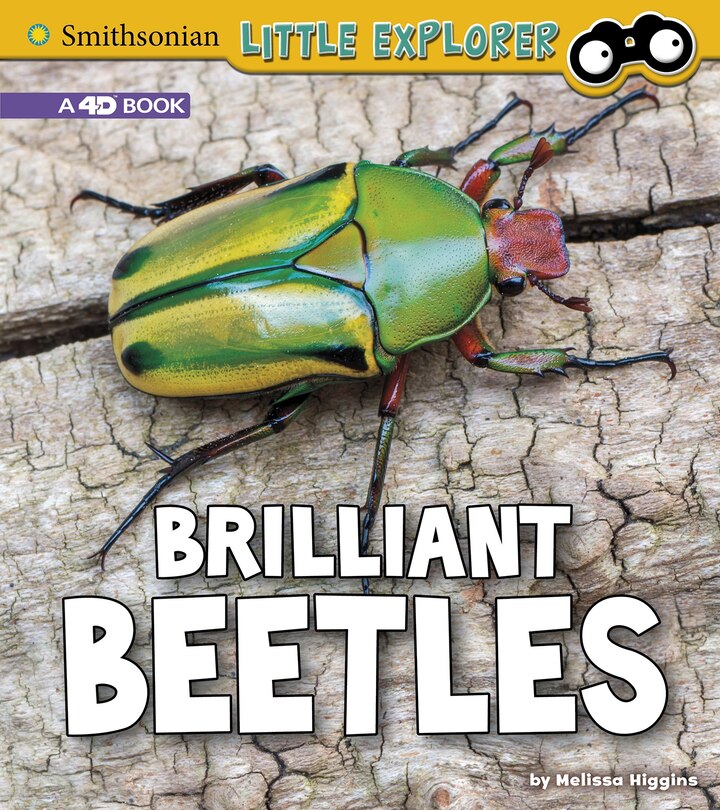 Couverture_Brilliant Beetles