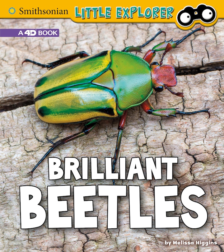 Couverture_Brilliant Beetles