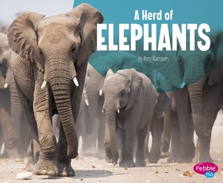 Front cover_A Herd of Elephants