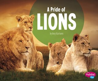 Front cover_A Pride of Lions