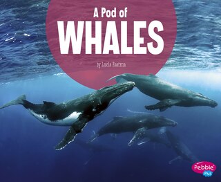 Front cover_A Pod of Whales