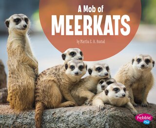 Front cover_A Mob of Meerkats