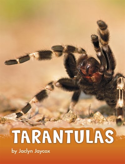 Front cover_Tarantulas