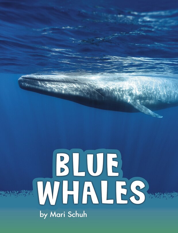 Couverture_Blue Whales