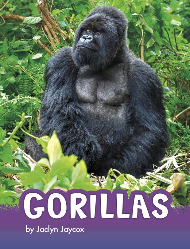 Front cover_Gorillas
