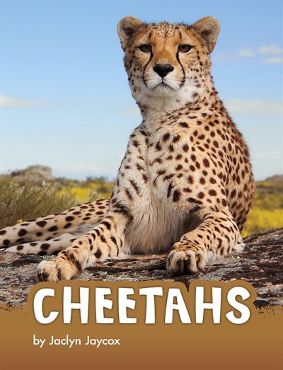Couverture_Cheetahs