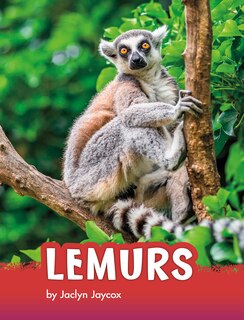 Front cover_Lemurs
