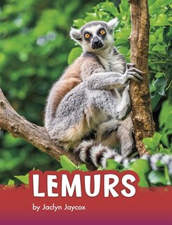 Front cover_Lemurs
