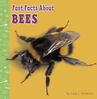 Front cover_Fast Facts About Bees