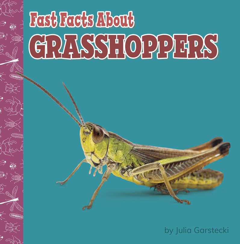 Fast Facts About Grasshoppers