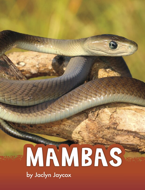 Front cover_Mambas