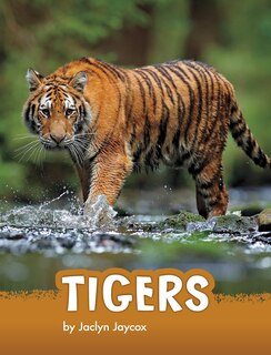 Front cover_Tigers