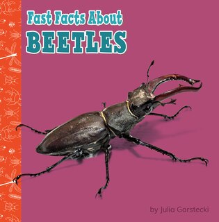 Fast Facts About Beetles