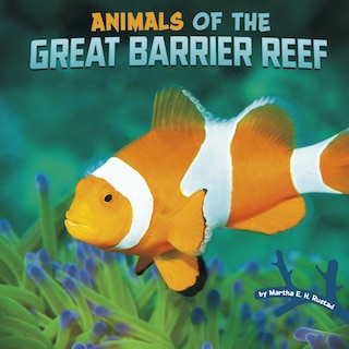 Couverture_Animals of the Great Barrier Reef