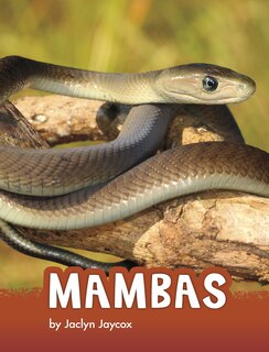 Front cover_Mambas