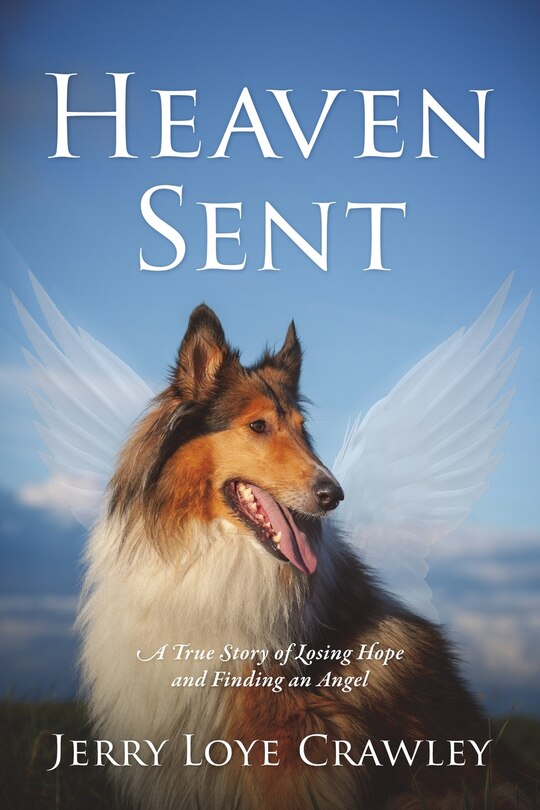 Front cover_Heaven Sent