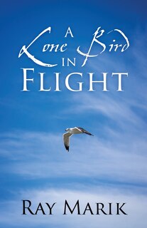 Front cover_A Lone Bird in Flight