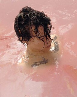 Front cover_Harry Styles Diary