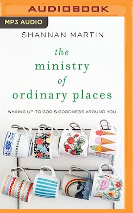 The Ministry Of Ordinary Places: Waking Up To God's Goodness Around You