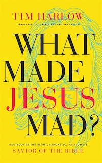 What Made Jesus Mad?: Rediscover The Blunt, Sarcastic, Passionate Savior Of The Bible