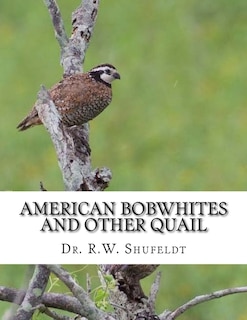 Couverture_American Bobwhites and Other Quail