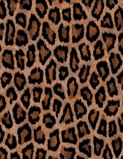 Front cover_Leopard Print Notebook