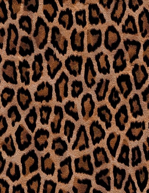 Front cover_Leopard Print Notebook