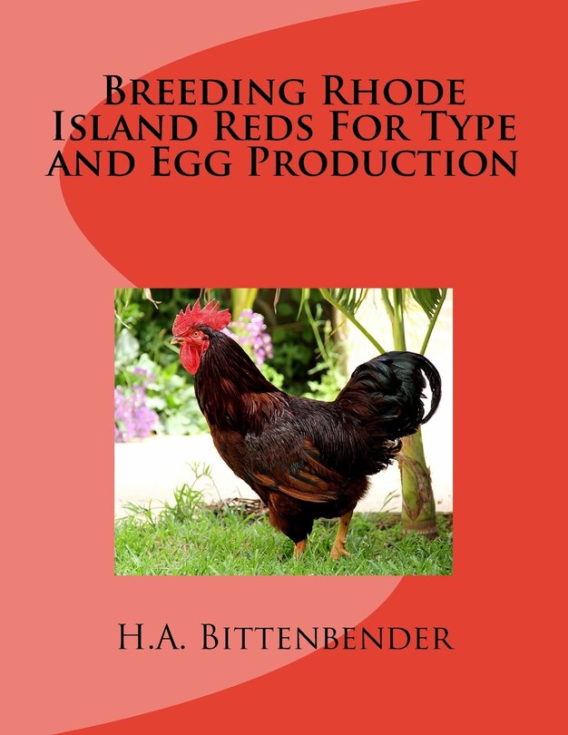 Front cover_Breeding Rhode Island Reds For Type and Egg Production