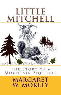 Little Mitchell: The Story of a Mountain Squirrel