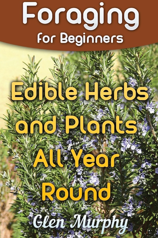 Front cover_Foraging for Beginners