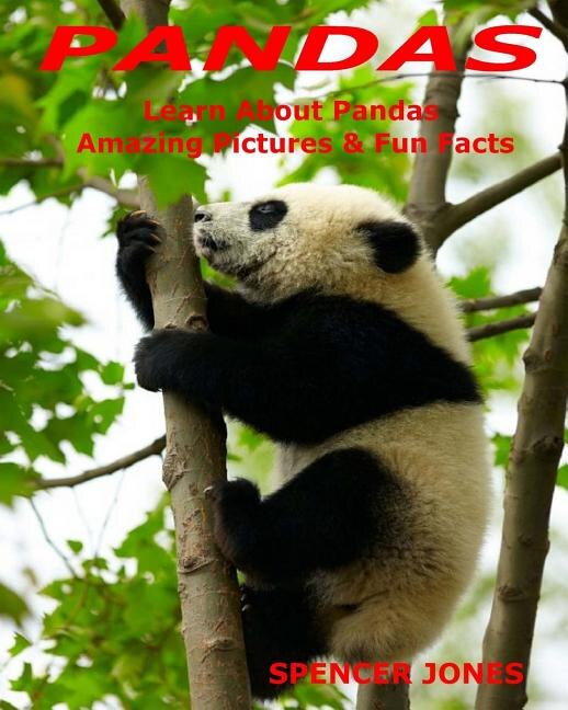 Front cover_Pandas