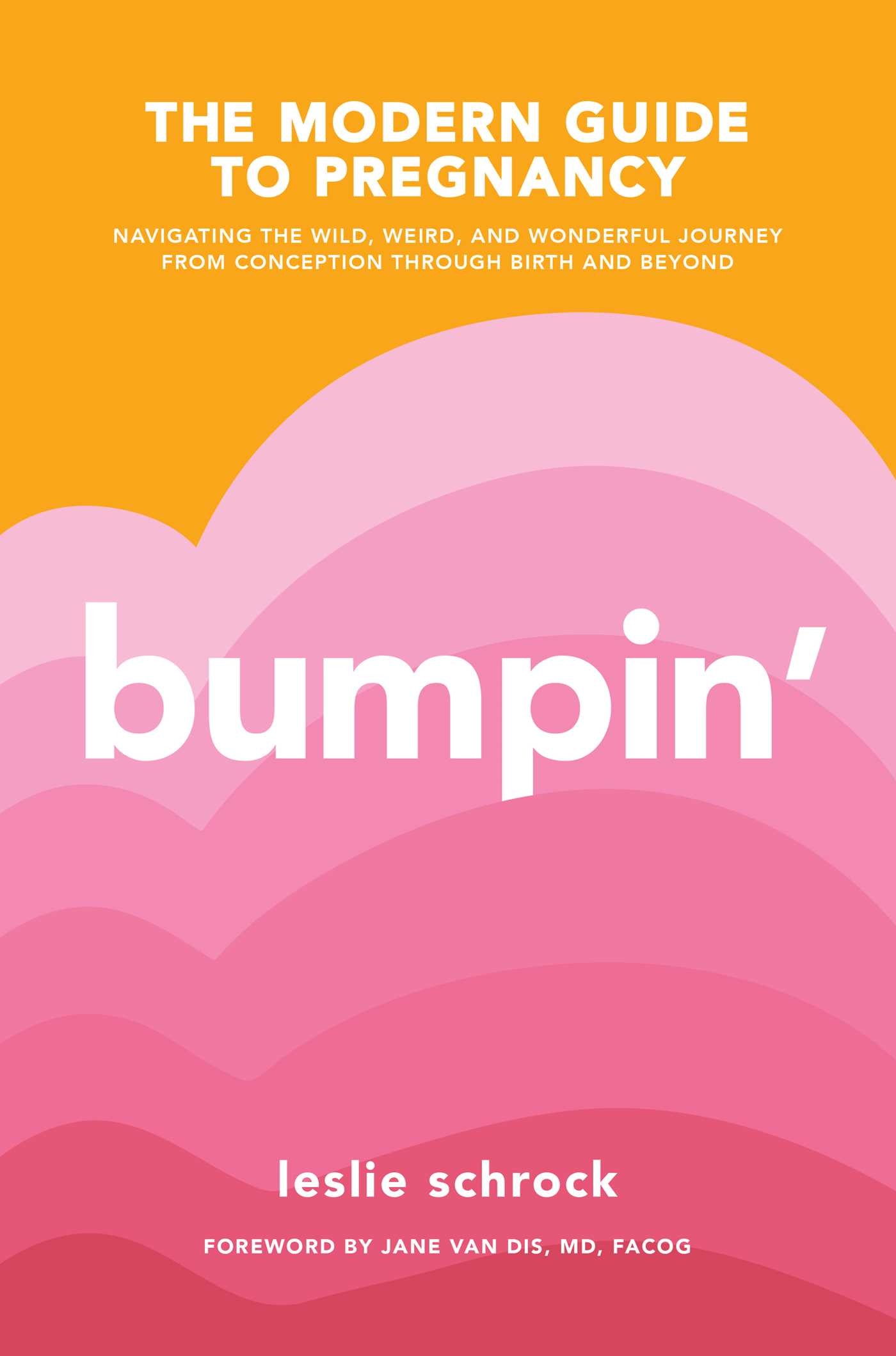Bumpin The Modern Guide to Pregnancy Navigating the Wild Weird