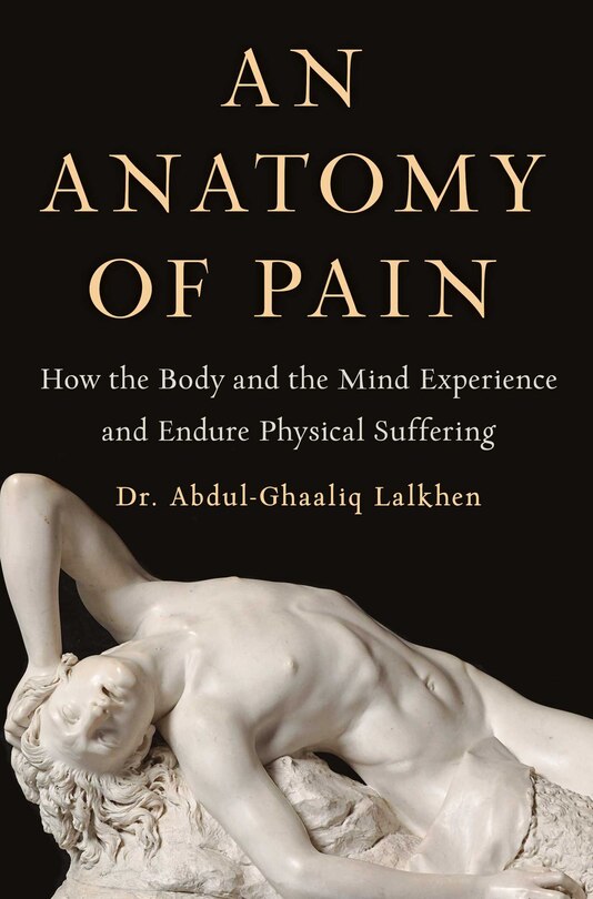 Front cover_An Anatomy of Pain