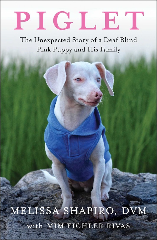 Front cover_Piglet
