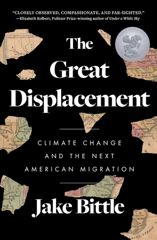 Front cover_The Great Displacement