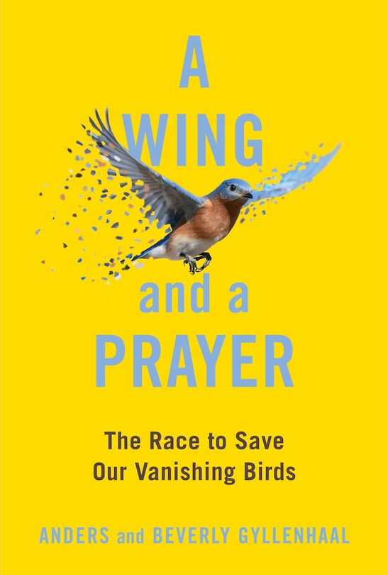 Front cover_A Wing and a Prayer