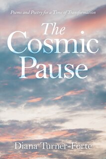 Couverture_The Cosmic Pause
