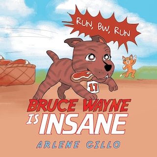 Front cover_Bruce Wayne Is Insane