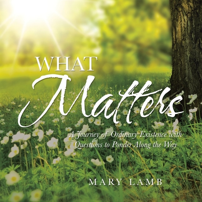 What Matters: A Journey of Ordinary Existence with Questions to Ponder Along the Way