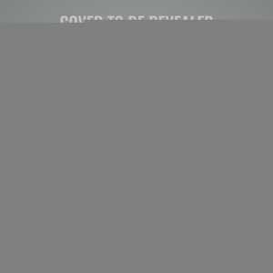 Front cover_The Lying Woods