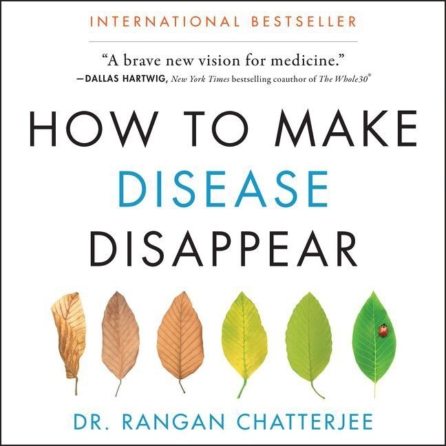 Couverture_How to Make Disease Disappear Lib/E