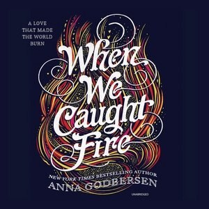 Front cover_When We Caught Fire