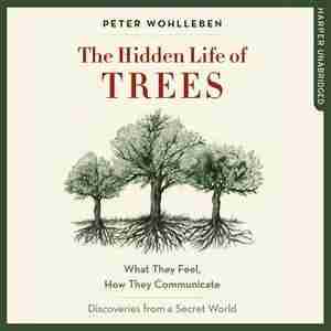 The Hidden Life Of Trees: What They Feel, How They Communicate; Discoveries From A Secret World by Peter Wohlleben