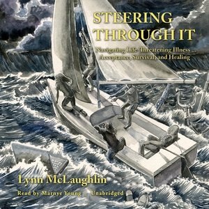 Couverture_Steering Through It