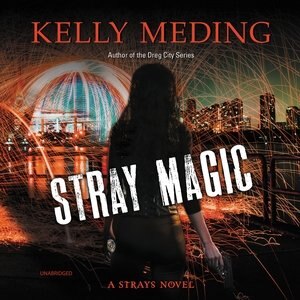 Couverture_Stray Magic