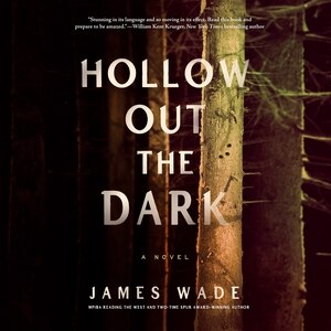 Couverture_Hollow Out the Dark