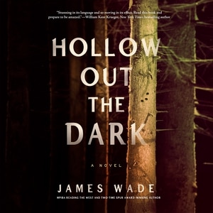 Couverture_Hollow Out the Dark