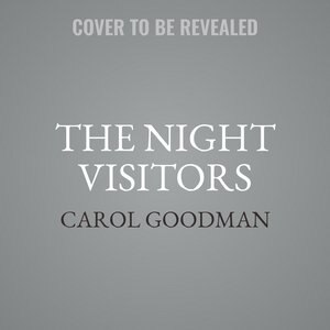 Front cover_The Night Visitors