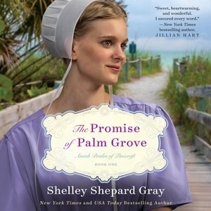 Couverture_The Promise Of Palm Grove