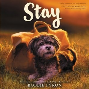 Couverture_Stay